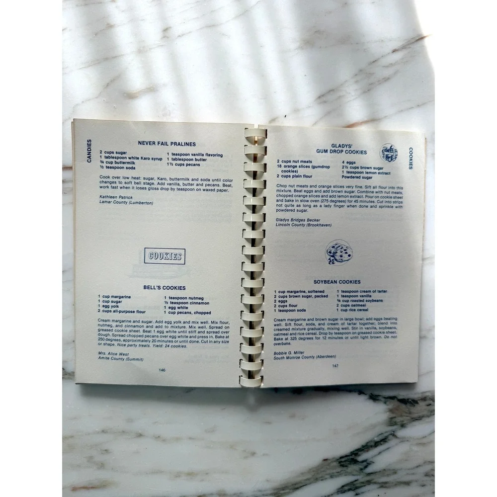 1981 Vintage Mississippi Memories Cookbook Southern Community Recipes
